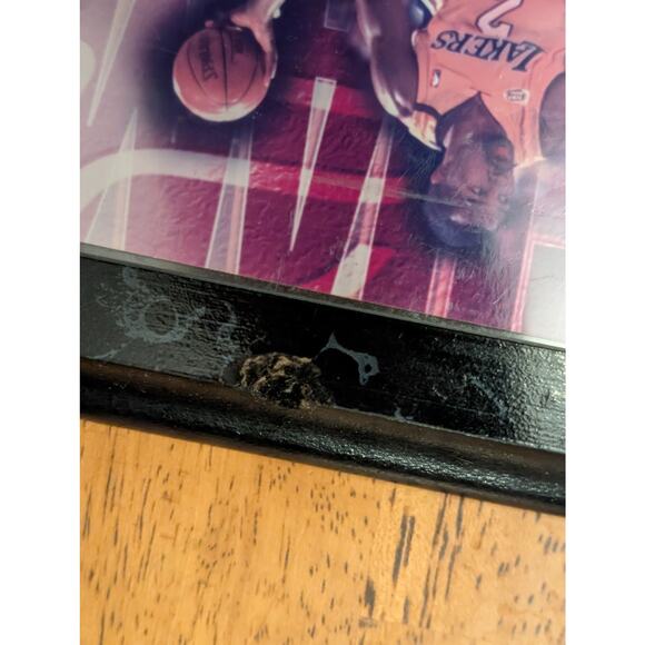 Los Angeles Lakers NBA Champions Limited Edition Plaque - Picture 8 of 11